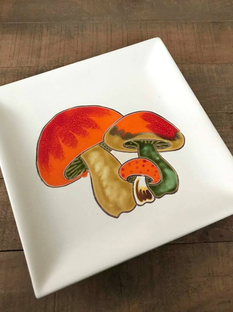 Vintage Mushroom Plate Mushroom Kitchen Decor 1970s Etsy