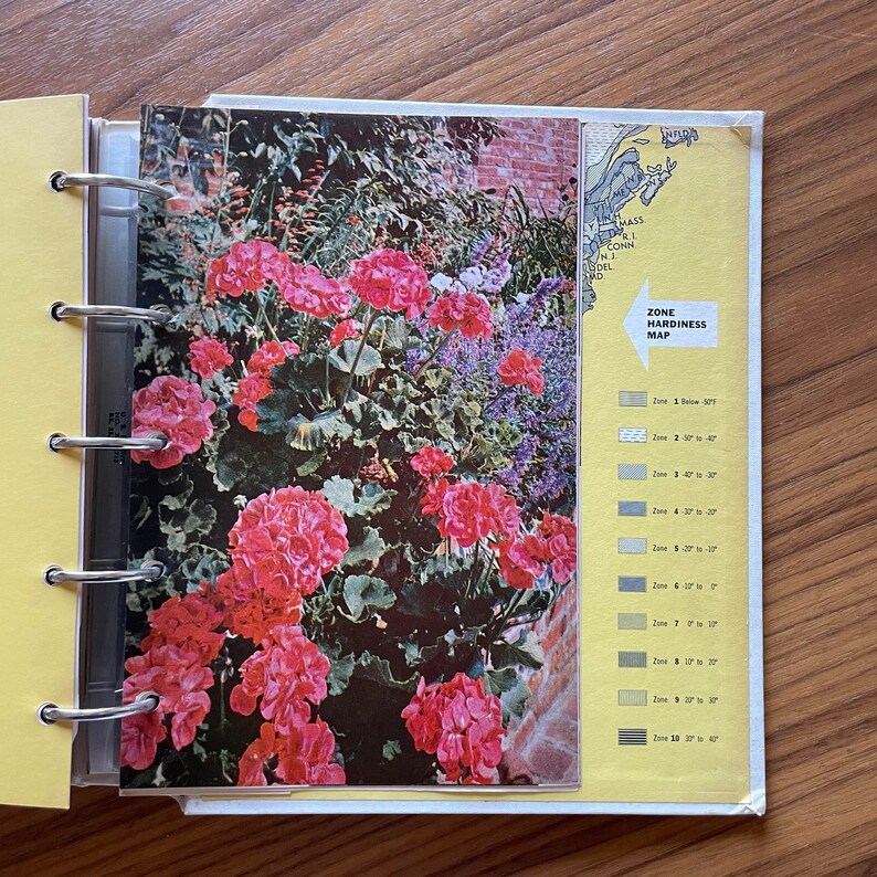 May include: A close-up image of a vibrant pink flower cluster with green leaves. The image is from a gardening book with a map of plant hardiness zones in the United States.