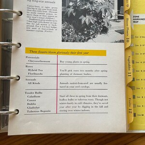 May include: A yellow and white gardening guide with a chart listing different types of plants and their hardiness zones. The chart is labeled "House Plants", "Vegetables", and "Fruits". The text "These flowers bloom gloriously their first year" is highlighted in yellow.