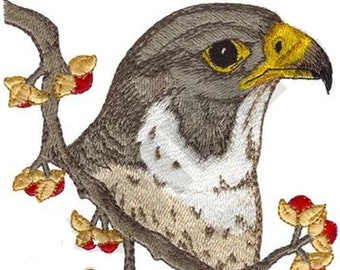 Peregrine Falcon Embroidered Patch comes in 2 sizes 2.7" x 2.9 " & 4.9" x 5"