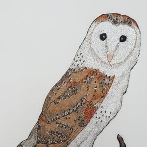 May include: Embroidered iron-on patch of a brown and white barn owl perched on a branch. The owl has a white face with black eyes and a yellow beak.