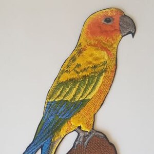 May include: An embroidered iron-on patch of a yellow and blue parrot perched on a brown rock. The parrot has a red head and a blue tail.