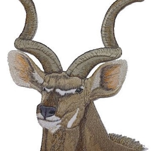 Könnte beinhalten: Nahaufnahme eines braunen und beigen Kudus mit großen, spiralförmigen Hörnern. Der Kudu schaut nach links, der Mund leicht geöffnet.