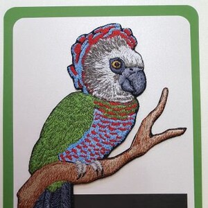 May include: Embroidered patch of a parrot with a red, green, and blue plumage, perched on a branch. The patch is labeled "Tangled Threads Embroidery".