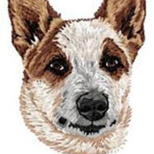 Australian Cattle Dog, Red Heeler, Blue Heeler Embroidered Patches, Ball Caps, Beanies Free USA Shipping