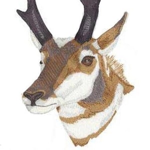 May include: A close-up of a pronghorn antelope's head with large, curved horns. The antelope has a white face with brown markings and a brown body.