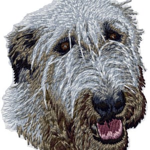May include: A close-up of a grey and brown Irish Wolfhound dog with its tongue sticking out. The dog has a shaggy coat and a friendly expression.