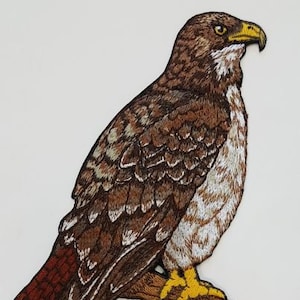 Red-Tailed Hawk Embroidered Patch 5&quot; x 6.1&quot;