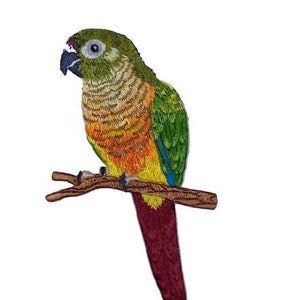 Conure grön kind broderad lapp 10,5 cm hög