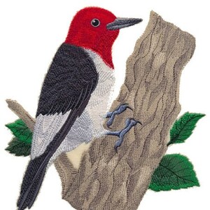 May include: A red-headed woodpecker with black and white markings perched on a tree branch. The bird has a red head and a black and white body.