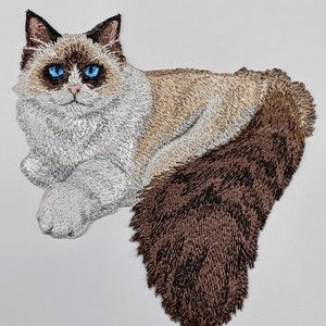 Op de afbeelding: Gestikt patch van een witte en bruine Ragdoll-kat met blauwe ogen. De kat ligt met zijn staart om zijn lichaam gekruld.