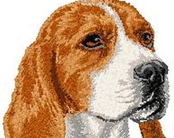 May include: A close-up of a Beagle dog's head. The dog has brown and white fur, with a long, pointed nose and floppy ears.