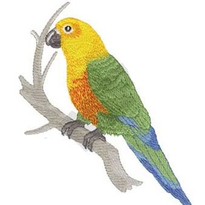 May include: A yellow, orange, green, and blue parrot perched on a branch. The parrot has a yellow head and chest, orange and red markings on its belly, green wings and tail, and blue tail feathers.