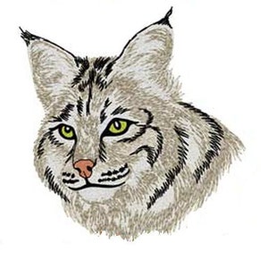 May include: A close-up of a bobcat's face. The bobcat has a white and brown coat with black stripes. The bobcat's eyes are green and its nose is pink.