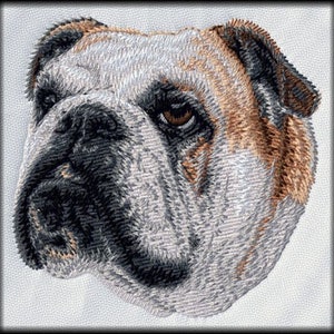 May include: Close-up of a white and brown English Bulldog with black fur around the nose and eyes. The dog's face is wrinkled and has a serious expression.