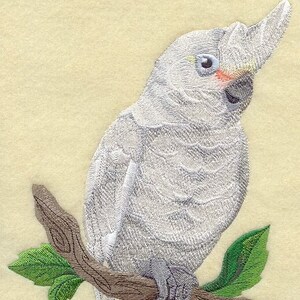 May include: A white cockatoo with a yellow crest perched on a brown branch with green leaves. The bird has a pink cheek and a black eye.