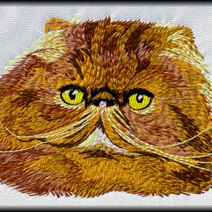 May include: Embroidered image of a Persian cat's face. The cat has orange and brown fur, yellow eyes, and long white whiskers. The embroidery is on a white background with a textured appearance, and the image is framed with a black border.