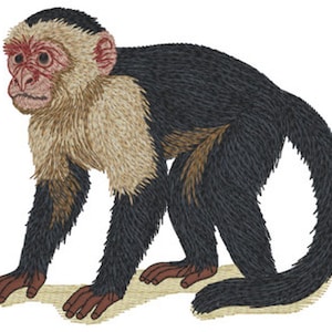 May include: An embroidered patch featuring a capuchin monkey with black fur on its back and limbs, a cream-colored chest and head, and a reddish-pink face. The monkey is depicted in a standing position with its long tail curved upward.