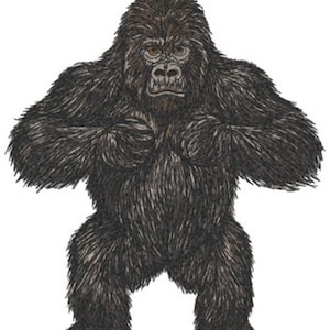 May include: A detailed illustration of a large gorilla standing in a forward-facing position. The gorilla has thick, dark brown and black fur covering its entire body, with visible facial features including orange-tinted eyes and a wide nose.