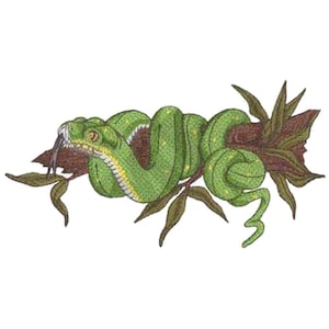 Puede incluir: Ilustración detallada de una serpiente verde enrollada alrededor de una rama marrón con hojas. La serpiente tiene un vientre amarillo y una lengua bífida. La obra de arte está sobre un fondo blanco.