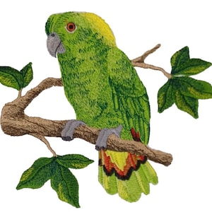 May include: Green parrot with yellow and red feathers perched on a branch with green leaves.