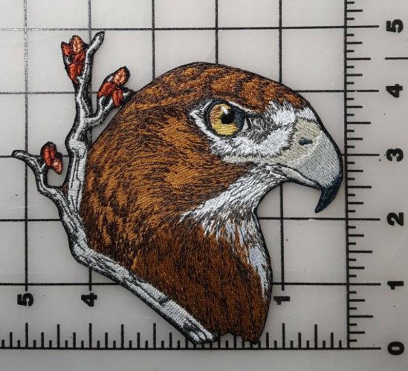 Red-Tailed Hawk, Embroidered Patch 5.2 x 5 image 3