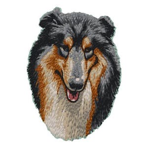 May include: Close-up of a black and tan Collie dog's head. The dog has a long, fluffy coat and a friendly expression.