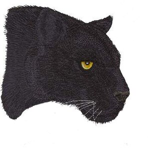 May include: A close-up of a black panther's head, with one bright yellow eye visible. The panther's fur is detailed with fine lines, giving it a realistic appearance.