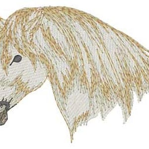 Könnte beinhalten: Ein weißes Pferd mit einer hellbraunen Mähne und einem hellbraunen Schweif. Der Kopf des Pferdes ist zur Seite gedreht, und sein Auge ist sichtbar. Die Nase des Pferdes ist schwarz.