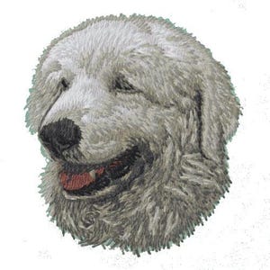 Puede incluir: Primer plano de un perro blanco de raza Gran Pirineo con un pelaje esponjoso. El perro mira hacia un lado con la boca ligeramente abierta, mostrando su lengua.