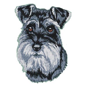 Puede incluir: Un schnauzer miniatura negro y plateado con una barba esponjosa y una expresión seria.