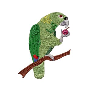 May include: Embroidered patch of a green parrot with yellow markings on its head, perched on a brown branch and holding a red fruit in its beak.