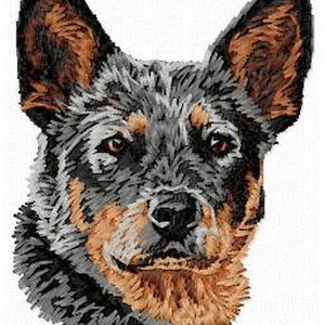 Puede incluir: Un retrato de cerca de un perro blue heeler con un pelaje negro y marrón. El perro tiene una expresión seria y mira directamente al espectador.
