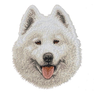 May include: A white fluffy Samoyed dog with a pink tongue sticking out. The dog has brown eyes and a white fur coat.
