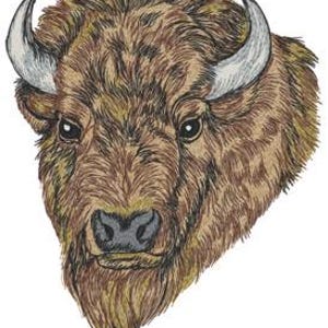 以下が含まれることがあります： 大きな角を持つ茶色のバイソンの頭部のクローズアップ。バイソンは毛深いコートを着ており、真剣な表情をしています。