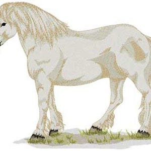 May include: A white horse with a long, flowing mane and tail. The horse is standing on a grassy field.