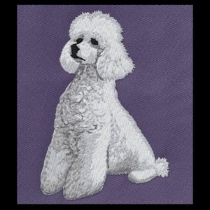May include: A white poodle illustration on a purple background. The poodle is sitting, with its fluffy fur detailed. The dog's features, including its eyes and nose, are clearly defined. The image is a close-up, showcasing the poodle's form.