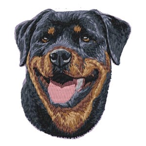 May include: Close-up of a Rottweiler dog's face. The dog has black fur with brown markings and is smiling with its tongue sticking out.