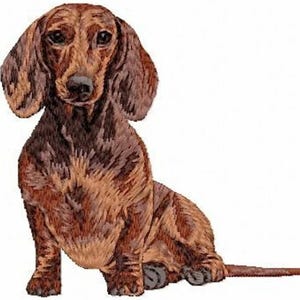 May include: A detailed illustration of a dachshund dog in shades of brown and tan. The dog is sitting with its head and ears forward, and its tail extended. The artwork has a textured appearance, suggesting an embroidered or stitched design.
