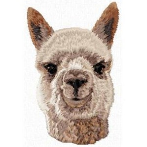 May include: Close-up of a brown and white alpaca's face. The alpaca has a soft, fluffy coat and big, brown eyes. It is looking directly at the camera with a gentle expression.