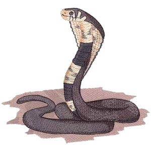 May include: Embroidered patch of a cobra snake in a striking upright pose. The snake features a black and white striped hood, a tan and white patterned neck, and a dark gray body. The patch is on a light brown background.