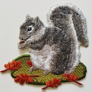 May include: Embroidered iron-on patch of a gray squirrel with a bushy tail, holding a nut in its paws, standing on a green patch with orange leaves.