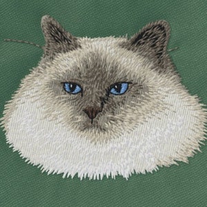 May include: A close-up of a white cat with blue eyes. The cat has long, fluffy fur and is looking directly at the camera.