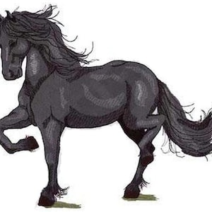 以下が含まれることがあります： 長い流れるたてがみと尻尾を持つ黒い馬が、後ろ足で立ち、前足を上げています。