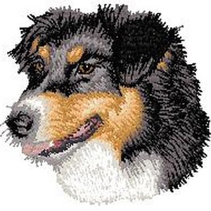 May include: A close-up of a black and brown Australian Shepherd dog with white markings on its face and chest. The dog has a black nose and brown eyes. The dog is looking to the left.