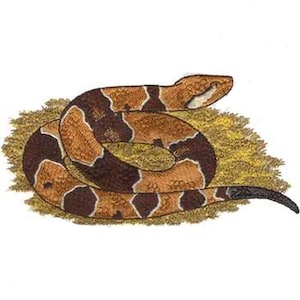 May include: Illustration of a coiled snake with a brown and black pattern. The snake rests on a bed of yellow-green grass. The snake's head is brown with a white stripe, and its tail is black.
