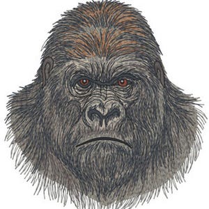 Könnte beinhalten: Ein gestickter Aufnäher mit dem detaillierten Porträt eines Gorillakopfes. Das Design verwendet dunkelgraue, schwarze und braune Fäden, um die Fellstruktur darzustellen, ergänzt durch markante rote Augen und einen ernsten Gesichtsausdruck.