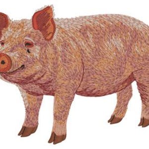 Puede incluir: Un parche bordado que muestra un cerdo con pelaje texturizado en tonos rosa y bronceado, grandes orejas puntiagudas con detalles interiores en rojo parduzco, un hocico prominente con fosas nasales oscuras y una pequeña cola rizada sobre pezuñas.