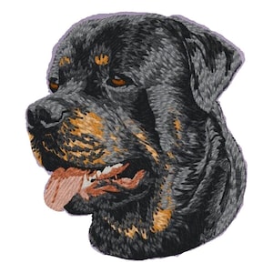 May include: Close-up of a Rottweiler's head, showing its black and tan fur, with its tongue sticking out.