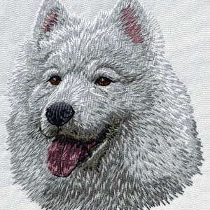 May include: A white fluffy dog with a pink tongue sticking out. The dog has brown eyes and a black nose.